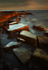Kimmeridge Ledges