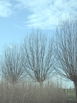 P1160048