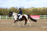 SBM_002255