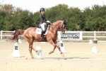 SBM_019331