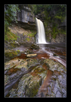 Thornton Force