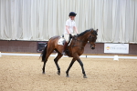 SBM_008487