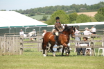 SBM_06885