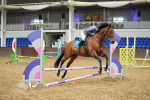 SBM_001334