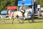Watling Ring - 24-5-26 portfolio