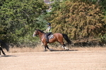WJ6_7574