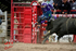 3HRodeo_CFD_JUL_19_2026_03883