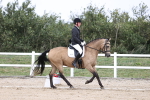 SBM_017463