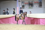 SBM_08004
