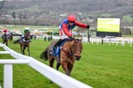 240126-Race 7-Ma Shantou-7739