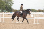 SBM_01875