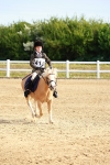 SBM_006393