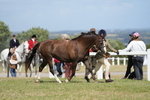 DSC07569
