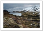 Grouse country ♦ LOCH TURRET