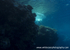RS014: Snorkelling in Ras Muhammad