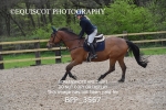 BPP_3567