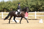 SBM_008554