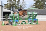 CLASS 9 - SAT - Senior Newcomers/1.10m Open portfolio