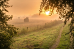 z3488 Misty Bales, Ashey