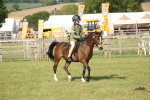 SBM_10203