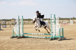 SBM_000313