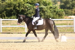 SBM_003543