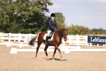SBM_03562