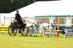 SBM_02775