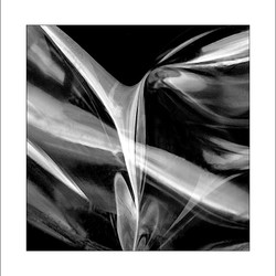 A.R.P.S. images portfolio