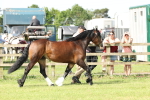 SBM_02066