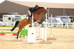 SBM_010238