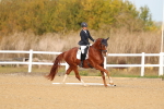 SBM_009330