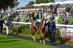 230824-Race 5-Canoodled-9291