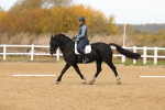 SBM_000968