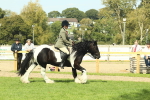 SBM_67579