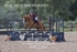 BPP_1194