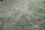 PtP 290123 0886