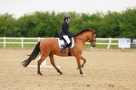 SBM_005336