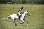 BVHT 140517  NXC -295