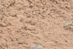 230611A-093538-04545