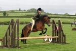 MBRC Working Hunter/Jumping/Clear round May 2014 portfolio