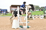 Cls 2B Pony Small 80cm portfolio