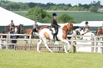 SBM_17572