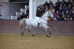 SBM_006445