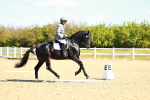 SBM_000197
