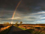 Rainbow 1