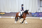 SBM_000495