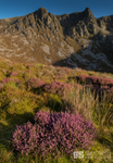 Craig Cwm Silyn