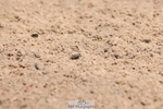 240706A-121934-01663