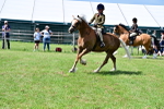 SBM_07916